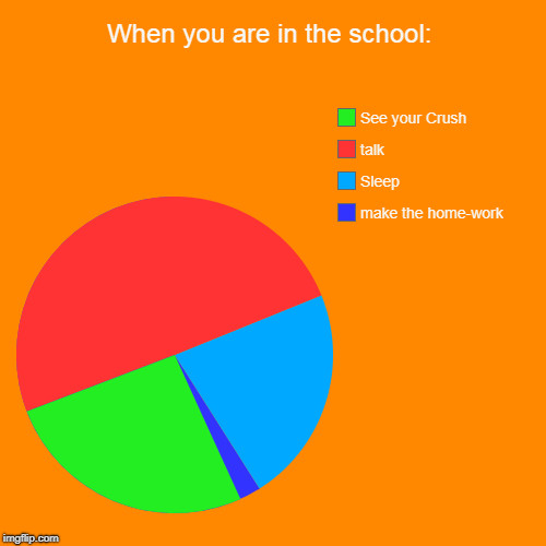 When you are in the school: | make the home-work, Sleep, talk, See your Crush | image tagged in funny,pie charts | made w/ Imgflip chart maker