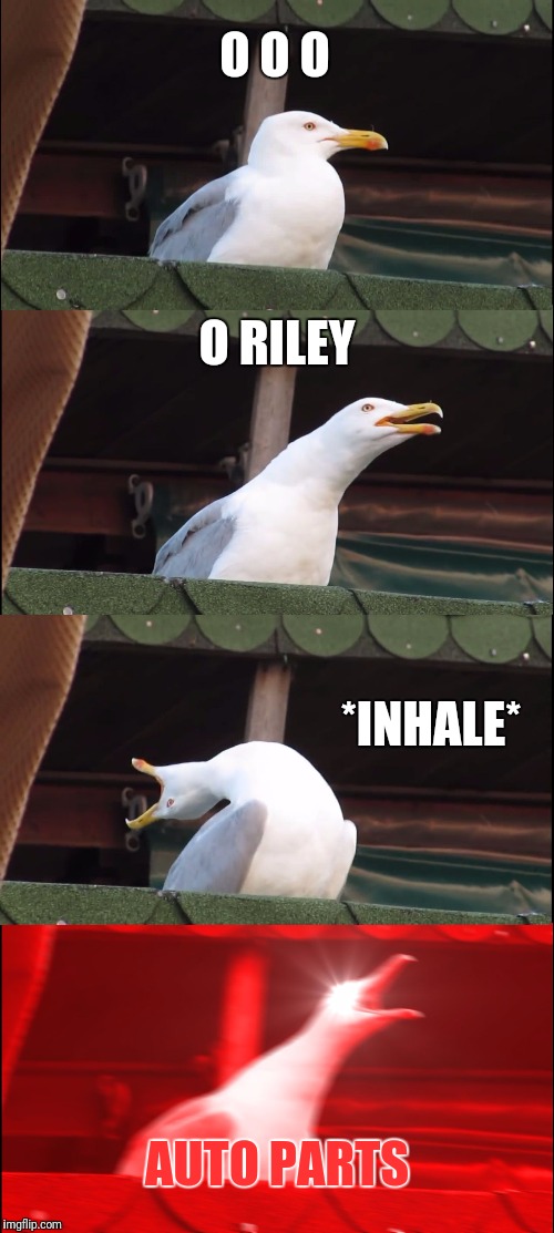 Inhaling Seagull Meme | O O O; O RILEY; *INHALE*; AUTO PARTS | image tagged in memes,inhaling seagull | made w/ Imgflip meme maker