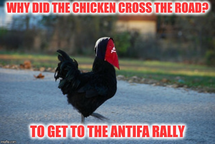 WHY DID THE CHICKEN CROSS THE ROAD? TO GET TO THE ANTIFA RALLY | made w/ Imgflip meme maker