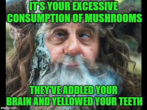 Radagast | IT'S YOUR EXCESSIVE CONSUMPTION OF MUSHROOMS THEY'VE ADDLED YOUR BRAIN AND YELLOWED YOUR TEETH | image tagged in radagast | made w/ Imgflip meme maker