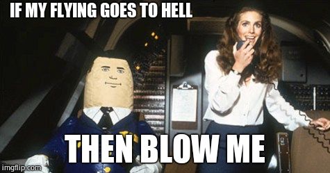 Airplane! Otto the Co-Pilot | IF MY FLYING GOES TO HELL THEN BLOW ME | image tagged in airplane otto the co-pilot | made w/ Imgflip meme maker