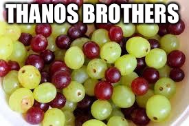 Grapes... | THANOS BROTHERS | image tagged in grapes | made w/ Imgflip meme maker