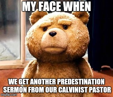 TED Meme | MY FACE WHEN; WE GET ANOTHER PREDESTINATION SERMON FROM OUR CALVINIST PASTOR | image tagged in memes,ted | made w/ Imgflip meme maker