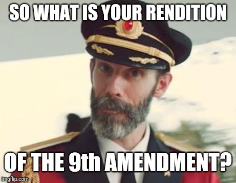 Captain Obvious | SO WHAT IS YOUR RENDITION OF THE 9th AMENDMENT? | image tagged in captain obvious | made w/ Imgflip meme maker