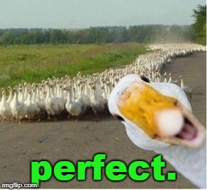 perfect. | made w/ Imgflip meme maker