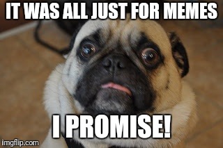 Pug worried | IT WAS ALL JUST FOR MEMES I PROMISE! | image tagged in pug worried | made w/ Imgflip meme maker