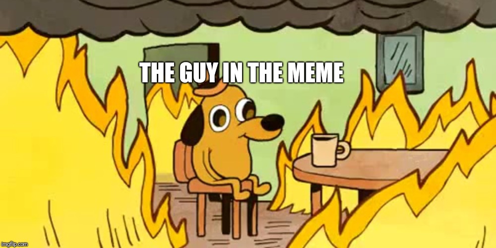 Dog on fire | THE GUY IN THE MEME | image tagged in dog on fire | made w/ Imgflip meme maker