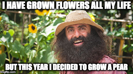 Gardening Australia | I HAVE GROWN FLOWERS ALL MY LIFE; BUT THIS YEAR I DECIDED TO GROW A PEAR | image tagged in gardening australia | made w/ Imgflip meme maker