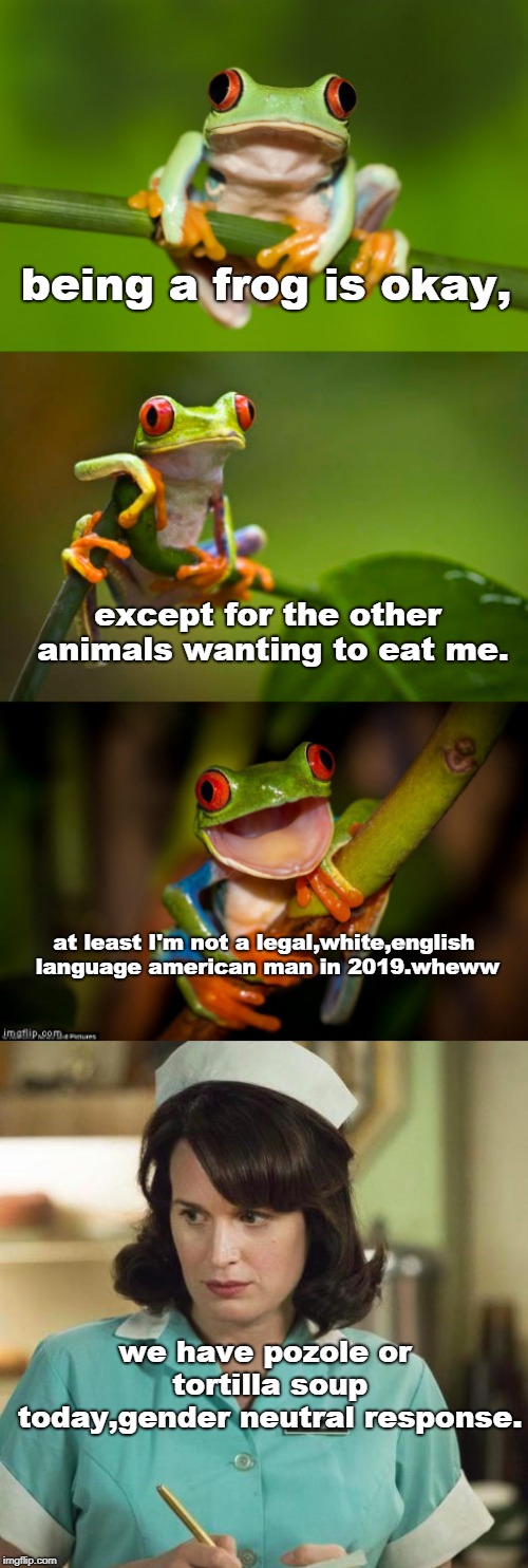 tho' the frog fears being eaten he thinks modern western man may have it worse.ya can't even get a decent non - mexican soup. | being a frog is okay, except for the other animals wanting to eat me. at least I'm not a legal,white,english language american man in 2019.wheww; we have pozole or tortilla soup today,gender neutral response. | image tagged in frog puns,jerry was,memes,political correctness,bullsht culture | made w/ Imgflip meme maker