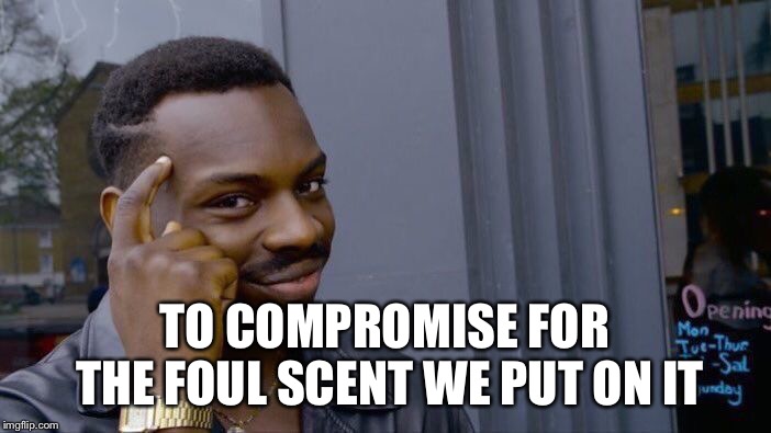 Roll Safe Think About It Meme | TO COMPROMISE FOR THE FOUL SCENT WE PUT ON IT | image tagged in memes,roll safe think about it | made w/ Imgflip meme maker