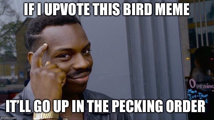 Roll Safe Think About It Meme | IF I UPVOTE THIS BIRD MEME IT’LL GO UP IN THE PECKING ORDER | image tagged in memes,roll safe think about it | made w/ Imgflip meme maker