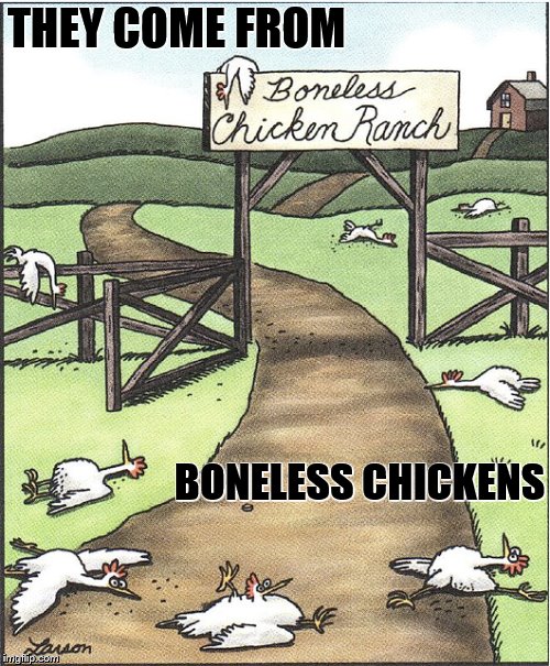 THEY COME FROM BONELESS CHICKENS | made w/ Imgflip meme maker