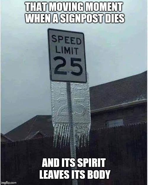 THAT MOVING MOMENT WHEN A SIGNPOST DIES; AND ITS SPIRIT LEAVES ITS BODY | image tagged in freezing | made w/ Imgflip meme maker