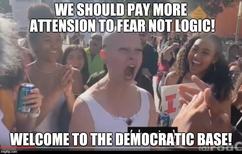 Cringeworthy | WE SHOULD PAY MORE ATTENSION TO FEAR NOT LOGIC! WELCOME TO THE DEMOCRATIC BASE! | image tagged in cringeworthy | made w/ Imgflip meme maker