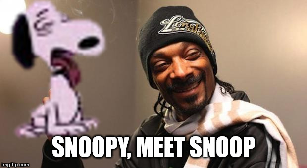 snoop dogg and snoopy | SNOOPY, MEET SNOOP | image tagged in snoop dogg,snoopy | made w/ Imgflip meme maker