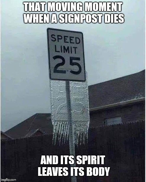  THAT MOVING MOMENT WHEN A SIGNPOST DIES; AND ITS SPIRIT LEAVES ITS BODY | image tagged in freezing | made w/ Imgflip meme maker