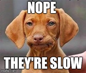 Frustrated dog | NOPE THEY'RE SLOW | image tagged in frustrated dog | made w/ Imgflip meme maker