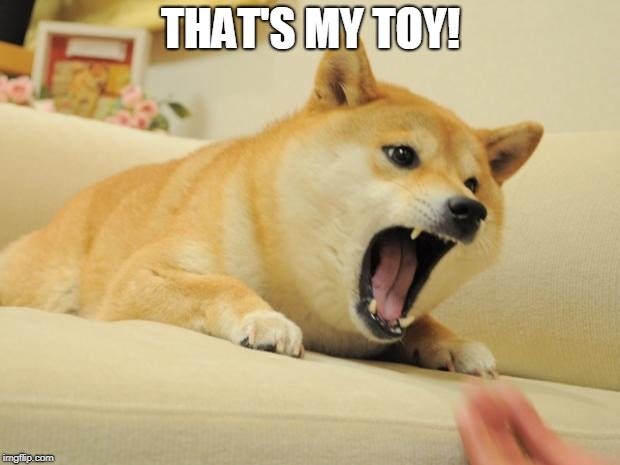 ANGRY DOGE | THAT'S MY TOY! | image tagged in angry doge | made w/ Imgflip meme maker