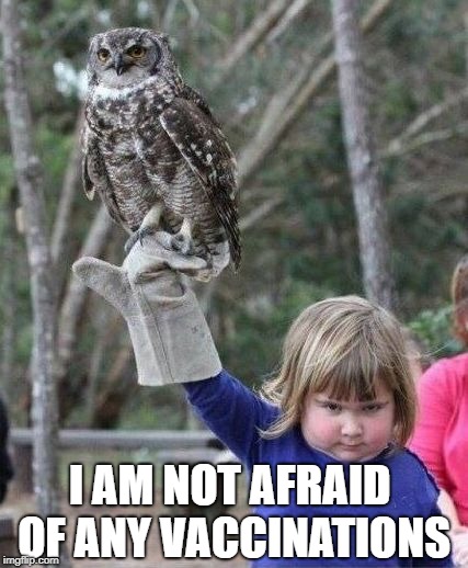 Girl with owl | I AM NOT AFRAID OF ANY VACCINATIONS | image tagged in girl with owl,memes | made w/ Imgflip meme maker