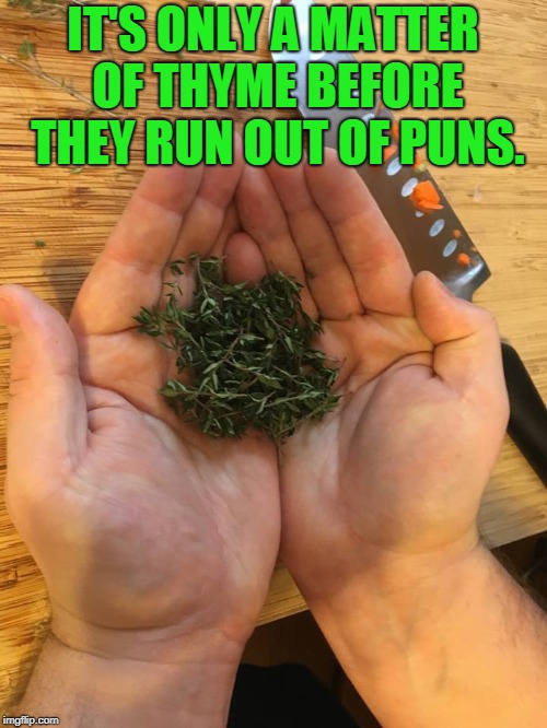 Thyme On My Hands | IT'S ONLY A MATTER OF THYME BEFORE THEY RUN OUT OF PUNS. | image tagged in thyme on my hands | made w/ Imgflip meme maker