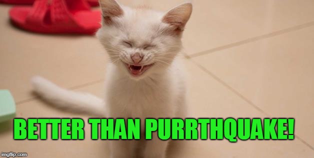 Cat Laughing | BETTER THAN PURRTHQUAKE! | image tagged in cat laughing | made w/ Imgflip meme maker