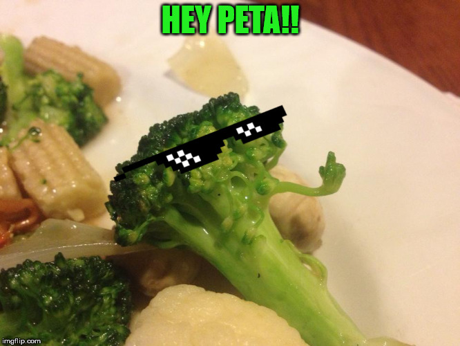 FU PETA I count! | HEY PETA!! | image tagged in peta,vegan | made w/ Imgflip meme maker