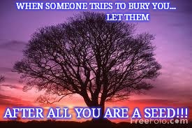 Tree | WHEN SOMEONE TRIES TO BURY YOU...                             LET THEM; AFTER ALL YOU ARE A SEED!!! | image tagged in tree | made w/ Imgflip meme maker