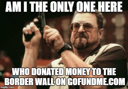 Am I The Only One Around Here | AM I THE ONLY ONE HERE; WHO DONATED MONEY TO THE BORDER WALL ON GOFUNDME.COM | image tagged in memes,am i the only one around here,the wall | made w/ Imgflip meme maker
