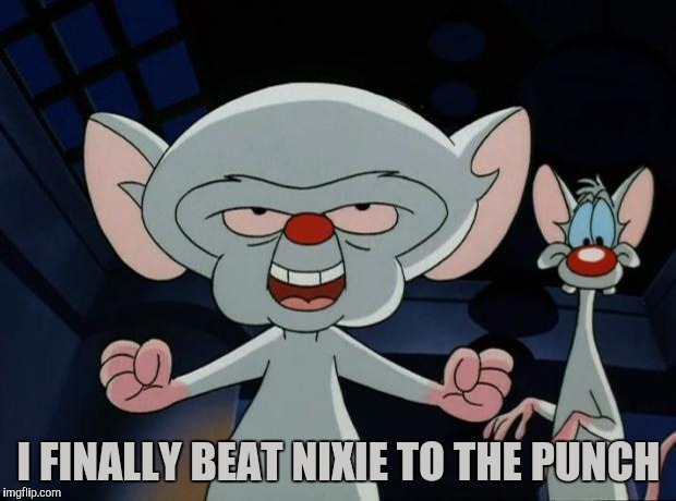 Pinky and the Brain | I FINALLY BEAT NIXIE TO THE PUNCH | image tagged in pinky and the brain | made w/ Imgflip meme maker
