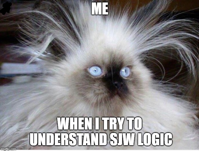 I just can't undersstand it, it's like another language. | ME; WHEN I TRY TO UNDERSTAND SJW LOGIC | image tagged in frazzled over politics,wtf | made w/ Imgflip meme maker