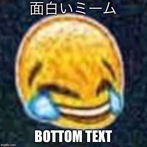 h | 面白いミーム; BOTTOM TEXT | image tagged in funny meme,laughing crying emoji,ironic | made w/ Imgflip meme maker