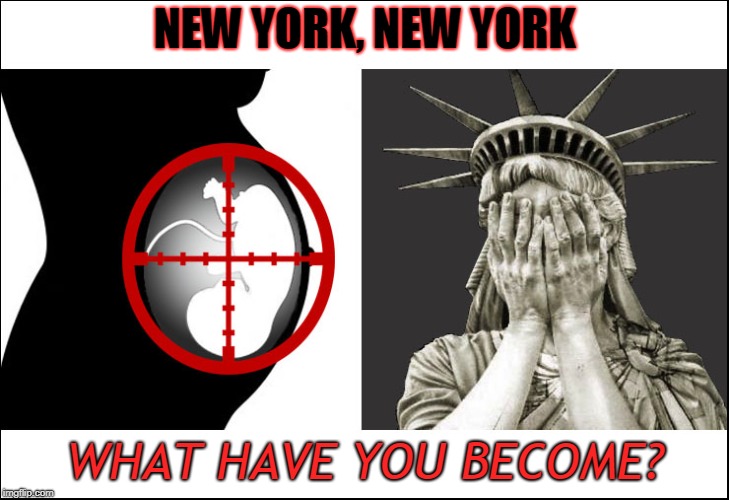 NEW YORK, NEW YORK; WHAT HAVE YOU BECOME? | image tagged in lady liberty weeps for ny | made w/ Imgflip meme maker