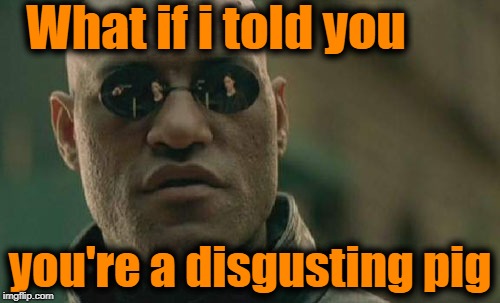 Matrix Morpheus Meme | What if i told you you're a disgusting pig | image tagged in memes,matrix morpheus | made w/ Imgflip meme maker