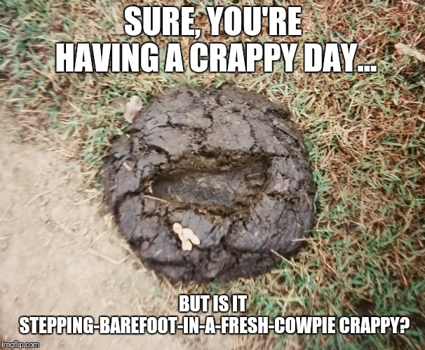 SURE, YOU'RE HAVING A CRAPPY DAY... BUT IS IT STEPPING-BAREFOOT-IN-A-FRESH-COWPIE CRAPPY? | image tagged in crappy,poop,bad day,having a bad day | made w/ Imgflip meme maker