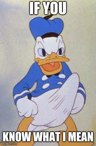 Horny Donald Duck | IF YOU KNOW WHAT I MEAN | image tagged in horny donald duck | made w/ Imgflip meme maker