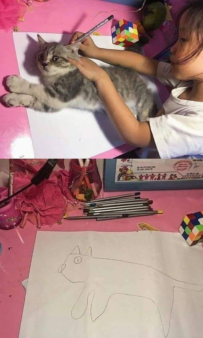 High Quality Cat Drawing Blank Meme Template