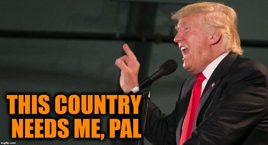 THIS COUNTRY NEEDS ME, PAL | made w/ Imgflip meme maker