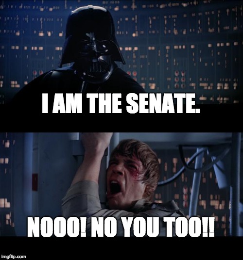 Star Wars No Meme | I AM THE SENATE. NOOO! NO YOU TOO!! | image tagged in memes,star wars no | made w/ Imgflip meme maker