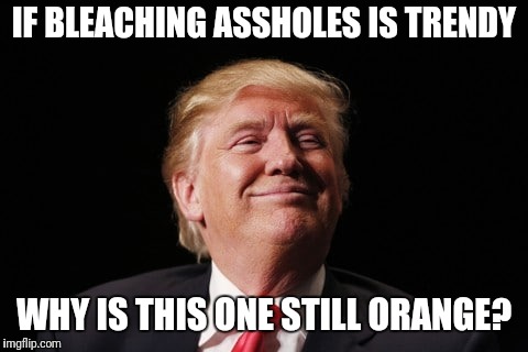 IF BLEACHING ASSHOLES IS TRENDY; WHY IS THIS ONE STILL ORANGE? | image tagged in asshole | made w/ Imgflip meme maker