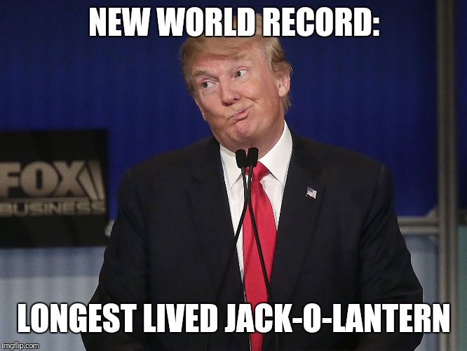 CONTACT GUINNESS BOOK OF WORLD RECORDS | NEW WORLD RECORD:; LONGEST LIVED JACK-O-LANTERN | image tagged in pumpkin | made w/ Imgflip meme maker