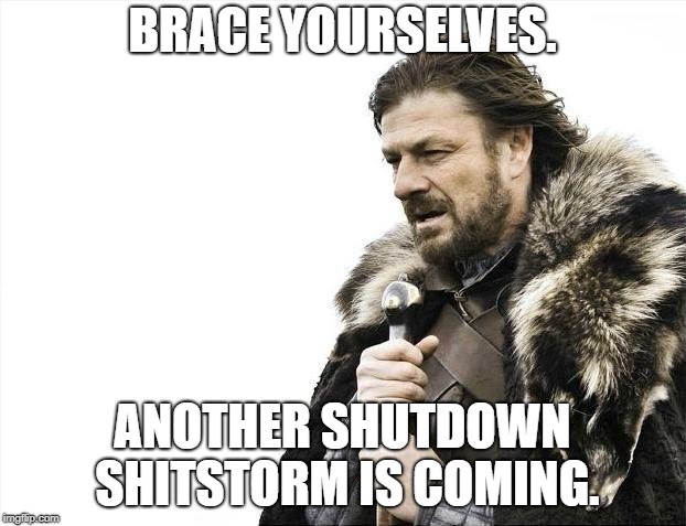 Waves of shutdowns | BRACE YOURSELVES. ANOTHER SHUTDOWN SHITSTORM IS COMING. | image tagged in memes,brace yourselves x is coming,government shutdown,politics,washington,party | made w/ Imgflip meme maker