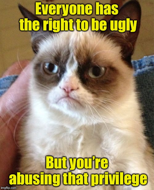 Grumpy Cat | Everyone has the right to be ugly; But you’re abusing that privilege | image tagged in memes,grumpy cat | made w/ Imgflip meme maker