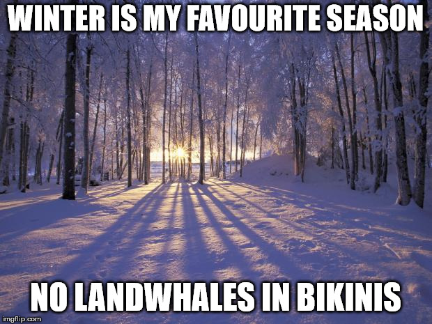 Winter Solstice | WINTER IS MY FAVOURITE SEASON; NO LANDWHALES IN BIKINIS | image tagged in winter solstice | made w/ Imgflip meme maker
