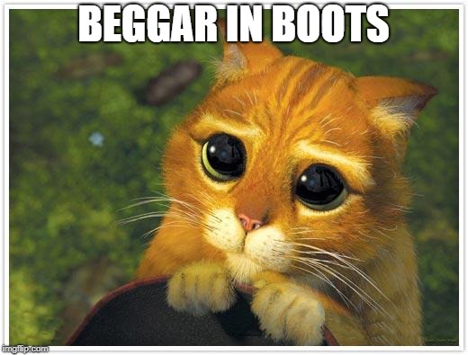 Shrek Cat Meme | BEGGAR IN BOOTS | image tagged in memes,shrek cat | made w/ Imgflip meme maker