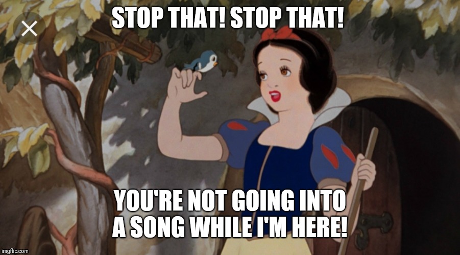 STOP THAT! STOP THAT! YOU'RE NOT GOING INTO A SONG WHILE I'M HERE! | image tagged in snow white,nobody expects the spanish inquisition monty python,monty python,monty python and the holy grail | made w/ Imgflip meme maker
