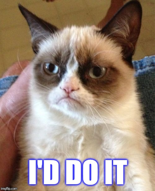 Grumpy Cat Meme | I'D DO IT | image tagged in memes,grumpy cat | made w/ Imgflip meme maker