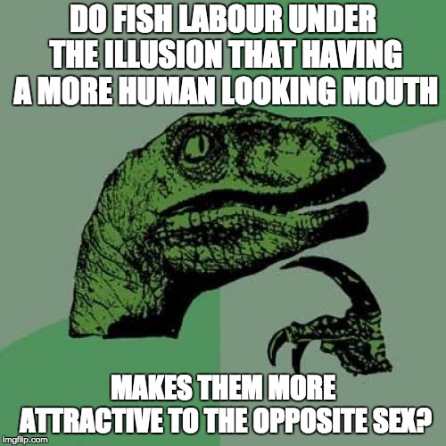 fishy lips | DO FISH LABOUR UNDER THE ILLUSION THAT HAVING A MORE HUMAN LOOKING MOUTH; MAKES THEM MORE ATTRACTIVE TO THE OPPOSITE SEX? | image tagged in memes,philosoraptor,fish lips,trout pout,pointless | made w/ Imgflip meme maker