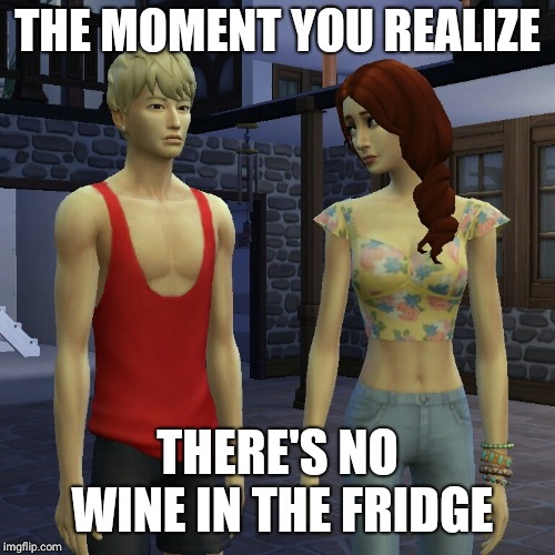No wine in the fridge | THE MOMENT YOU REALIZE; THERE'S NO WINE IN THE FRIDGE | image tagged in wine,the moment you realize,no wine,the sims,funny | made w/ Imgflip meme maker