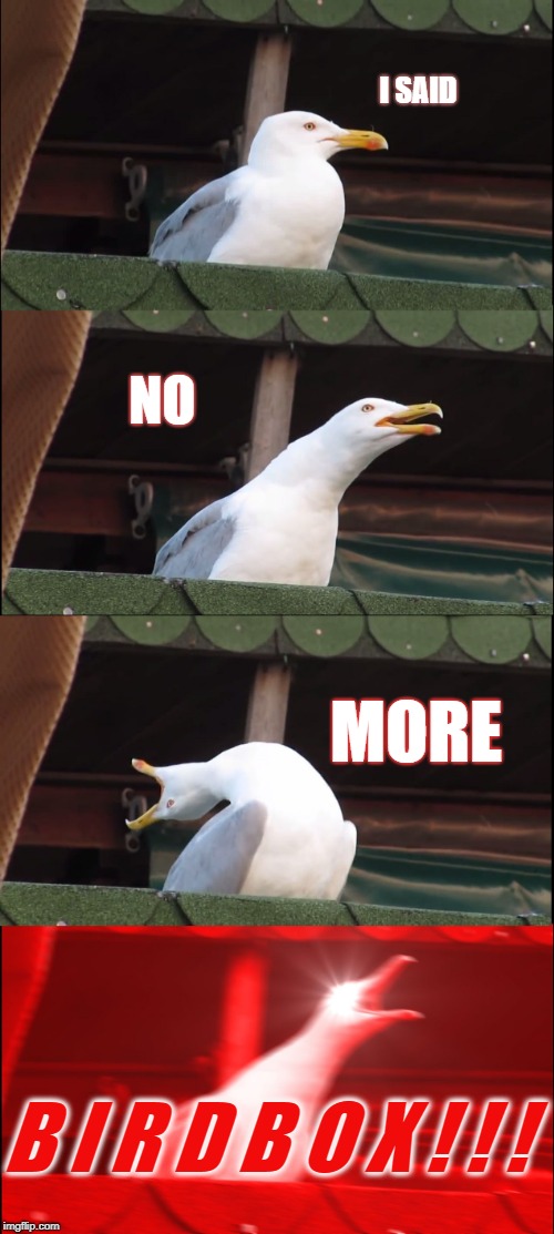 Inhaling Seagull | I SAID; NO; MORE; B I R D B O X ! ! ! | image tagged in memes,inhaling seagull | made w/ Imgflip meme maker