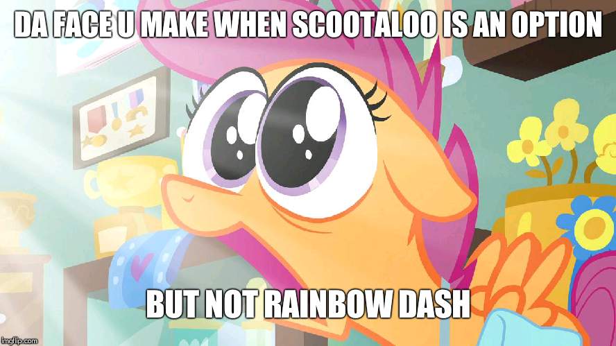 Shocked Scootaloo | DA FACE U MAKE WHEN SCOOTALOO IS AN OPTION BUT NOT RAINBOW DASH | image tagged in shocked scootaloo | made w/ Imgflip meme maker